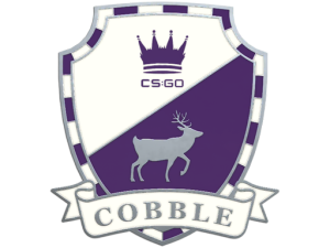 CobblestonePin